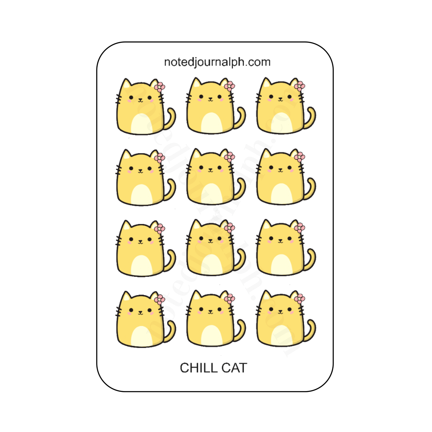 Chill Cat