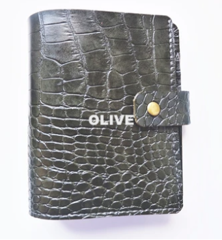 Passport (Basic Leather TN insert)
