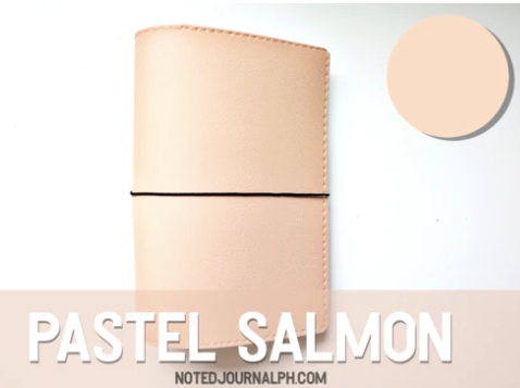 Passport (Basic Leather TN insert)