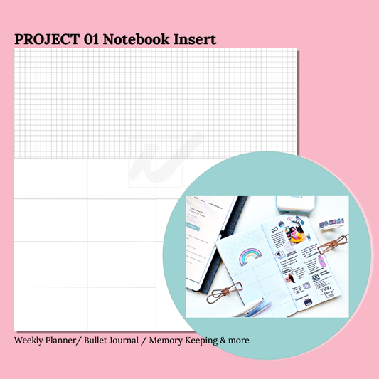 Project 01 Insert (Standard Size only)