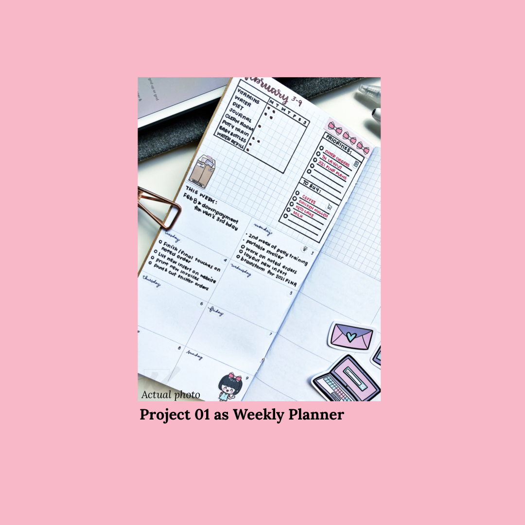 Project 01 Insert (Standard Size only)